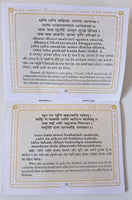 Shri Vishnu Chalisa Hindu Evil Eye Protection Good Luck Book Hindi English GG23