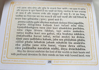 Shri Vishnu Chalisa Hindu Evil Eye Protection Good Luck Book Hindi English GG23