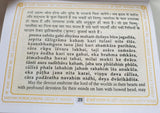 Shri Vishnu Chalisa Hindu Evil Eye Protection Good Luck Book Hindi English GG23