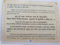 Shri Vishnu Chalisa Hindu Evil Eye Protection Good Luck Book Hindi English GG23
