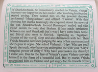 Shri Tulsi Chalisa Hindu Evil Eye Protection Good Luck Book Hindi English GG24