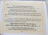 Shri Vishnu Chalisa Hindu Evil Eye Protection Good Luck Book Hindi English GG23