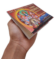Shri Vishnu Chalisa Hindu Evil Eye Protection Good Luck Book Hindi English GG23