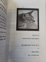 Hello Mein Bol Rahi Haan Punjabi Fiction Novel Sukhvir Singh Soohe Akhar book MA