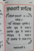 Sikh Sukhmani Sahib Ji Bani Sukhmanee Panjabi Gutka Punjabi Gurmukhi Book VVV30