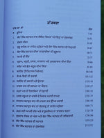 Banda Singh Bahadur ik Itihasik Adhiyan Sukhdayal Punjabi Gurmukhi Panjabi B22
