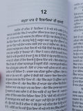 Banda Singh Bahadur ik Itihasik Adhiyan Sukhdayal Punjabi Gurmukhi Panjabi B22