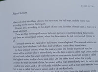 Kamasutra The Illustrated book Love Texts in English Sir Richard Burton New MQ20