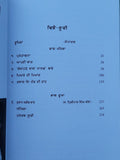 Sayyahato Baba Nanak Tajudin Shah Faqir Aurangabadi Punjabi Gurmukhi Panjabi B11