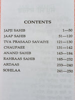 Sikh Nitnem Japji Rehras Sahib Bani Gurmukhi Transliteration Roman English Mi