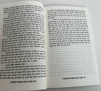Businessman di Safalta Lai 7 Nukate Punjabi New Open Business Success Tips Book