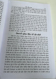 Akhin Ditha Saka Neela Tara Giyani Kirpal Singh  Blue Star Sikh Punjabi Book New