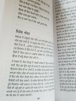 Pinjar Novel Amrita Pritam Punjabi Famous Fiction Book Paperback ਪਿੰਜਰ ਨਾਵਲ B70