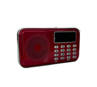 Sikh Gurbani Radio Digital Player Nitnem Akhand Path Katha Kirtan Speaker NEW