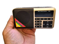 Sikh Gurbani Radio Player Nitnem Akhand Path Katha Kirtan Speaker Bluetooth Y509