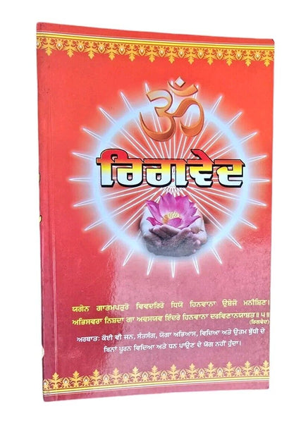 Rigved Ancient Hindu Granth Scripture Vedas Punjabi explanation Book STOR Ved
