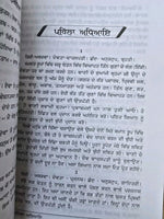 Atharv ved Ancient Hindu Granth Scripture Vedas Punjabi explanation Book STOR