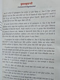 48 Laws of Power Punjabi Book Robert Greene Shakti de 48 Name Gurmukhi Panjabi A21