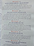 48 Laws of Power Punjabi Book Robert Greene Shakti de 48 Name Gurmukhi Panjabi A21