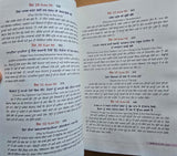 48 Laws of Power Punjabi Book Robert Greene Shakti de 48 Name Gurmukhi Panjabi A21