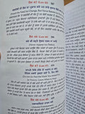 48 Laws of Power Punjabi Book Robert Greene Shakti de 48 Name Gurmukhi Panjabi A21