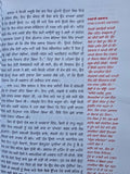 48 Laws of Power Punjabi Book Robert Greene Shakti de 48 Name Gurmukhi Panjabi A21