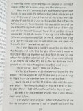 Hameergarh ਹਮੀਰਗੜ੍ਹ Novel Ram Saroop Ankhi Literature Punjabi Reading Book