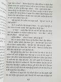 Hameergarh ਹਮੀਰਗੜ੍ਹ Novel Ram Saroop Ankhi Literature Punjabi Reading Book