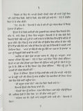 Sulphaas Novel by Ram Saroop Ankhi Panjabi Literature Punjabi Reading Book B8
