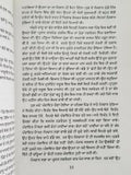 Sulphaas Novel by Ram Saroop Ankhi Panjabi Literature Punjabi Reading Book B8