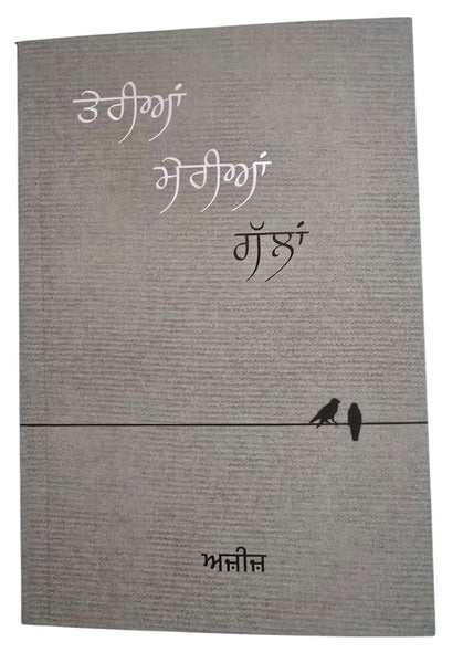 Teria Meria Galla Aziz Punjabi Poems Famous Poetry  Panjabi Literature Book New
