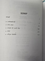 Pathar Ton Rang Tak Harpal Singh Pannu Gurmukhi Punjabi Literature Reading Book