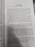 Pathar Ton Rang Tak Harpal Singh Pannu Gurmukhi Punjabi Literature Reading Book