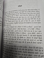 Pathar Ton Rang Tak Harpal Singh Pannu Gurmukhi Punjabi Literature Reading Book