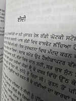 Pathar Ton Rang Tak Harpal Singh Pannu Gurmukhi Punjabi Literature Reading Book