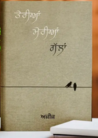 Teria Meria Galla Aziz Punjabi Poems Famous Poetry  Panjabi Literature Book New