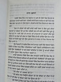 Ikigai Japanese Long and Happy Life Secrets in Punjabi Hector Garcia Book MO New