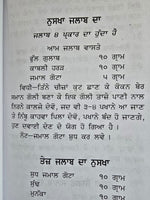 Purakh Parkash Ghar Da Vaid Tips Book Indian Cure of Various diseases Punjabi MO