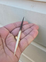 Seh Takla Kanta Sahi Kanda Porcupine Ritual Wicca Pagan Black Magic Hindu Amulet Evil Eye Protection
