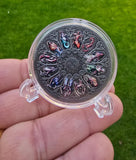 Rashifal 12 Star Signs Horoscope Good Luck Evil Eye Protection Hindu Mantra Coin