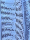 Anurag Sagar Punjabi Gurmukhi Satguru Kabir Ji Dohay Teachings Book explanations