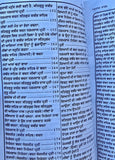Anurag Sagar Punjabi Gurmukhi Satguru Kabir Ji Dohay Teachings Book explanations