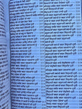 Anurag sagar book in Punjabi Satguru Kabir ji & disciples dohay with explanation