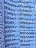 Anurag Sagar Punjabi Gurmukhi Satguru Kabir Ji Dohay Teachings Book explanations