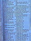 Anurag Sagar Punjabi Gurmukhi Satguru Kabir Ji Dohay Teachings Book explanations