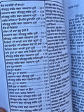 Anurag Sagar Punjabi Gurmukhi Satguru Kabir Ji Dohay Teachings Book explanations