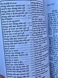 Anurag sagar book in Punjabi Satguru Kabir ji & disciples dohay with explanation