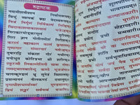 Hindu Chalisa Book Shiv Khatu Shyam Durga Shani Hanuman Aarti Sangrah Evil Eye