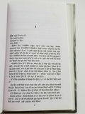 Dhupp Chhaan te Rukh Punjabi fiction novel by Dalip Kaur Tiwana Panjabi b5 new