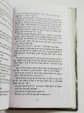 Dhupp Chhaan te Rukh Punjabi fiction novel by Dalip Kaur Tiwana Panjabi b5 new